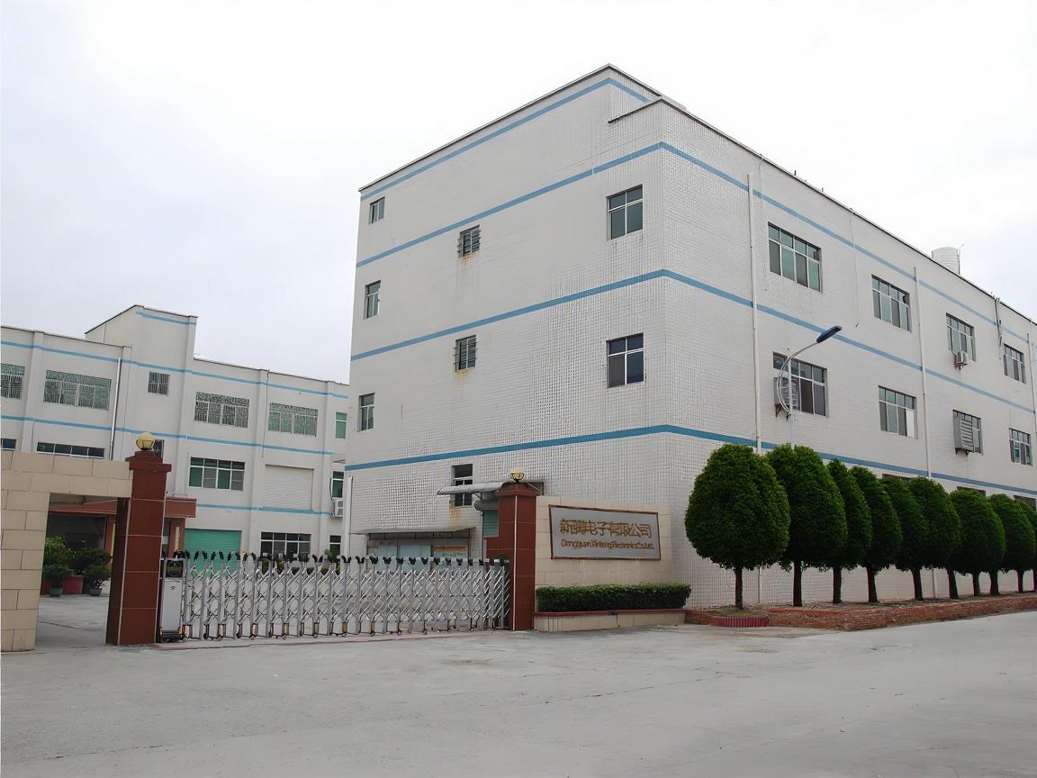DONGGUAN XINTENG ELECTRONICS CO LTD-6 DONGGUAN XINTENG ELECTRONICS CO LTD-6